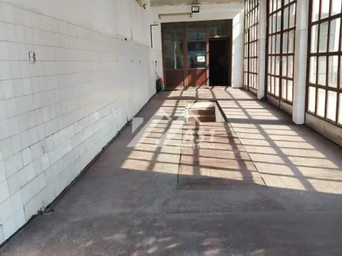 Rent, office space, 100m², Klisa, Novi Sad Sve Podlokacije - image 1