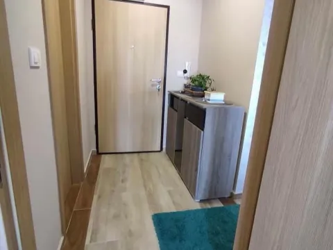 Izdavanje, jednosoban stan, 50m², Kalimanj, Tivat - image 8