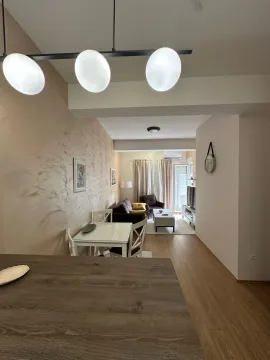 Stan-na-dan, jednosoban stan, 43m², Zabjelo, Podgorica - image 11