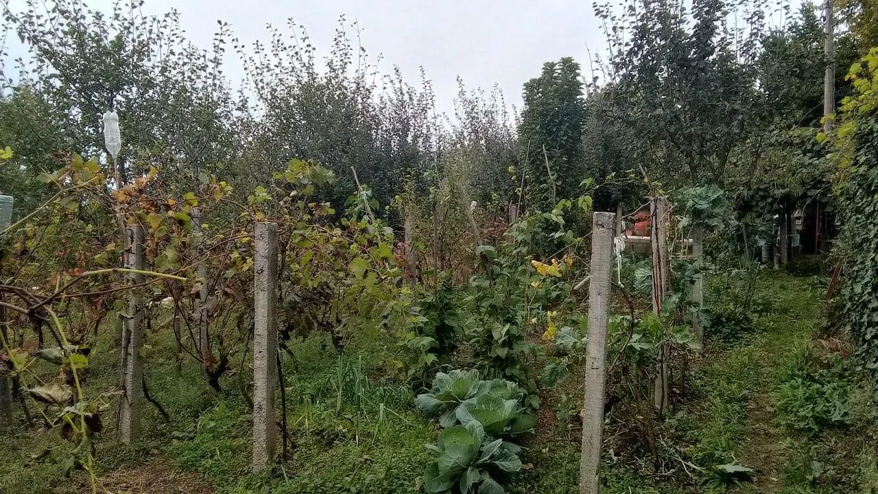 Prodaja, plac, 669m², Mokrine, Herceg Novi