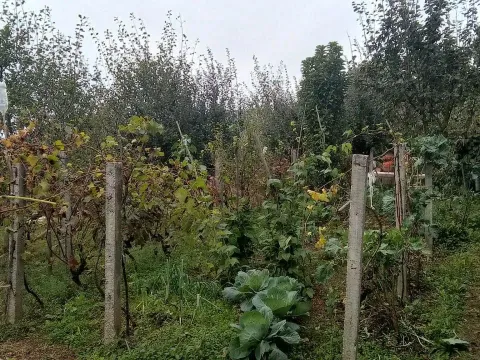 Prodaja, plac, 669m², Kamenovo, Budva - image 3