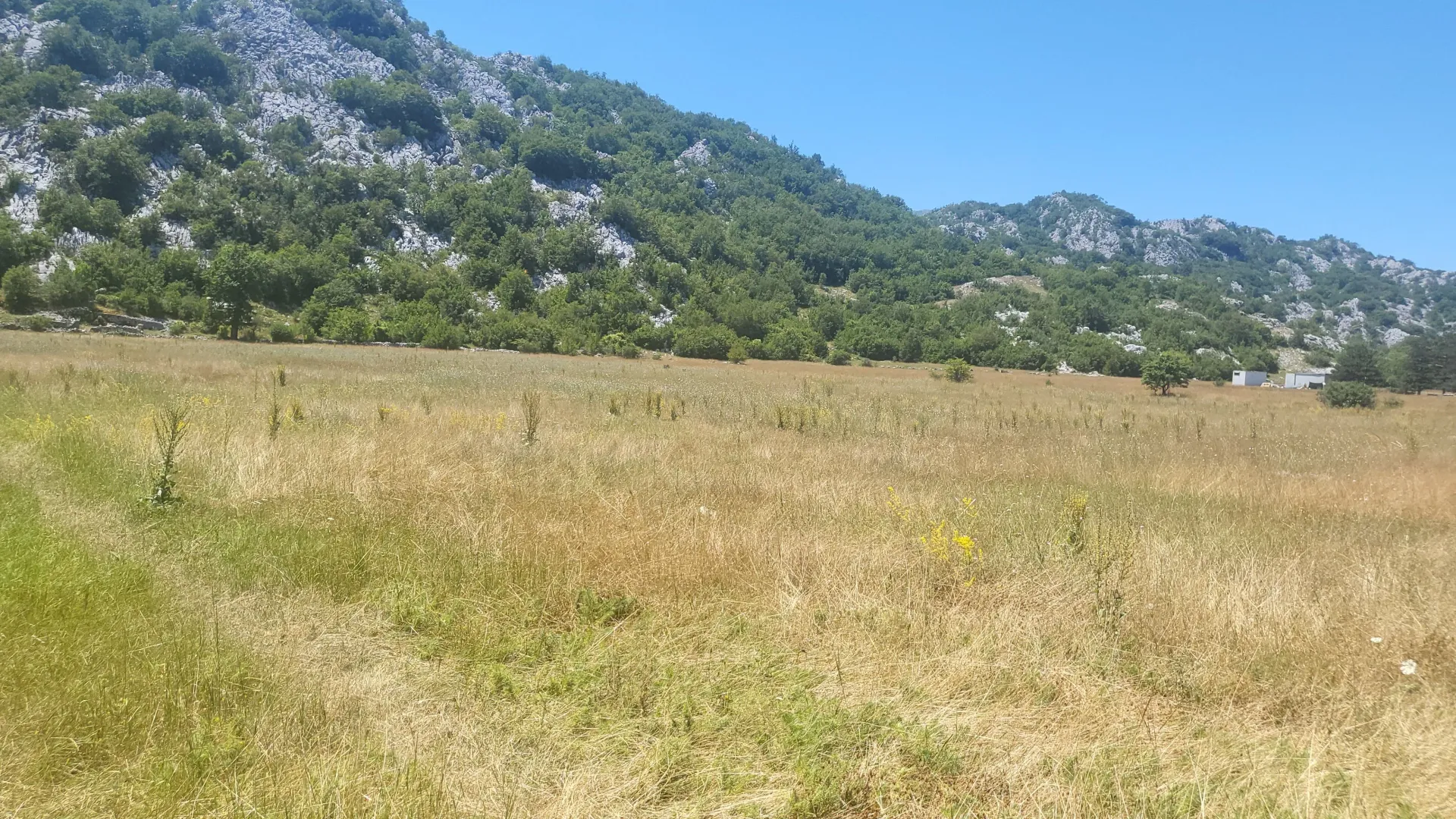Prodaja, plac, 4249m², Grahovo, Nikšić