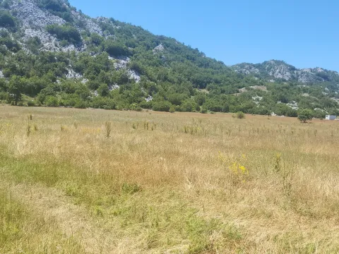Sale, land lot, 4249m², Grahovo, Nikšić - image 3