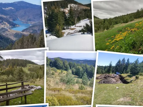 Zemljište in Mokra gora