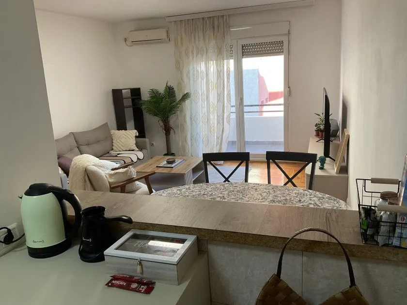 Rent, one bedroom apartment, 54m², Vezirov Most, Podgorica