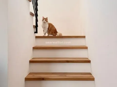 Prodaja, kuća, 130m², Kavač, Kotor - image 6