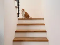 Sale, house, 130m², Kavač, Kotor - image 6