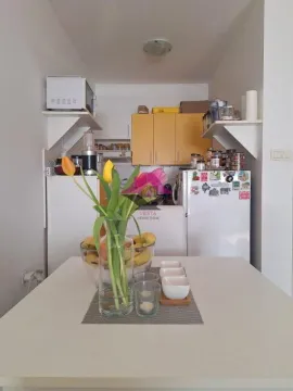 Sale, two bedroom apartment, 48m², Telep, Novi Sad Sve Podlokacije - image 6