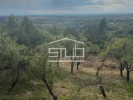 Prodaja, kuća, 205m², Draževac, Obrenovac - image 3