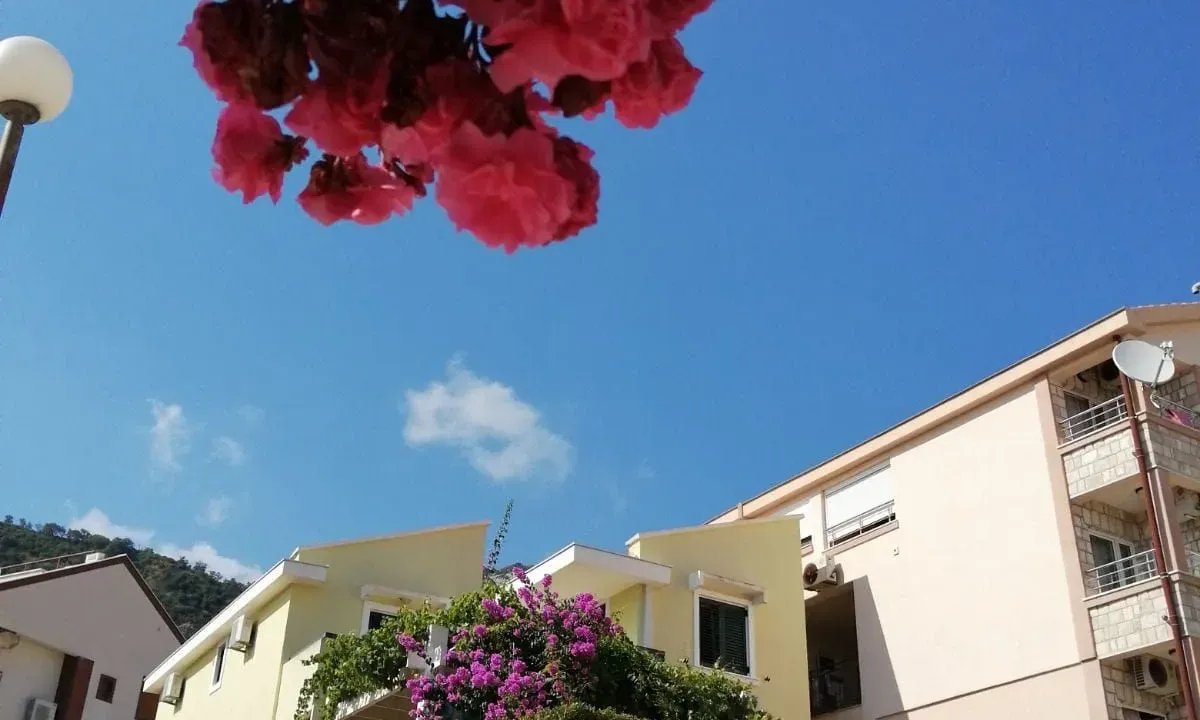 Prodaja, kuća, 181m², Budva, Crna Gora