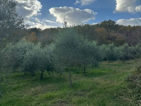 Prodaja, plac, 6000m², Ulcinj, Crna Gora - image 6