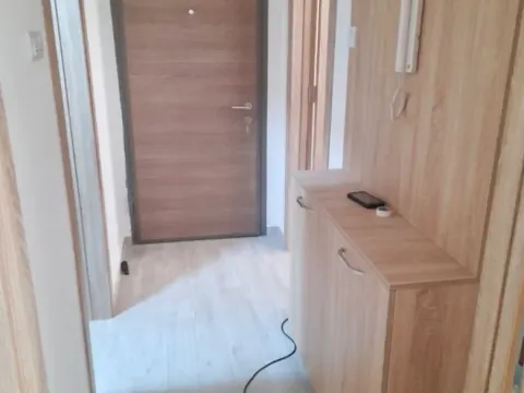 Izdavanje, jednosoban stan, 45m², Zabjelo, Podgorica - image 5