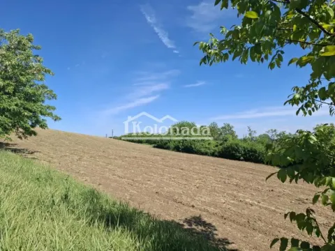 Prodaja, plac, 12201m², Sopot, Beograd - image 3