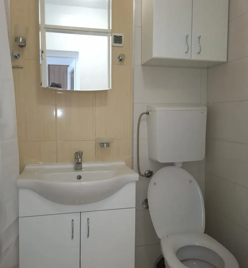 Rent, one bedroom apartment, 31m², Lion, Zvezdara Sve Podlokacije