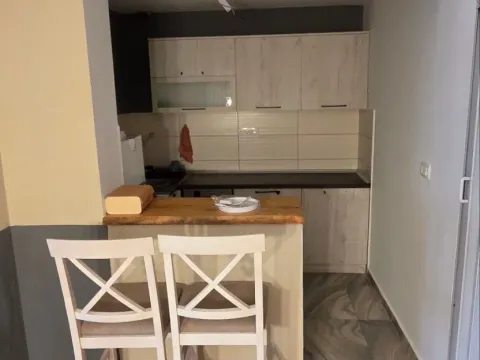 Izdavanje, jednosoban stan, 60m², Cetinje, Crna Gora - image 4