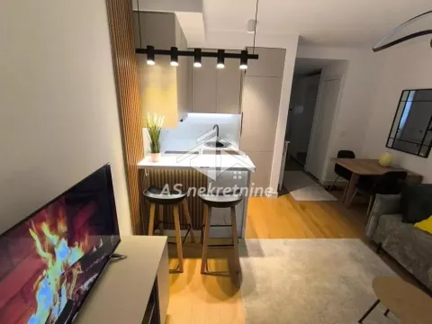 Izdavanje, jednosoban stan, 27m², Lion, Zvezdara Sve Podlokacije - image 6