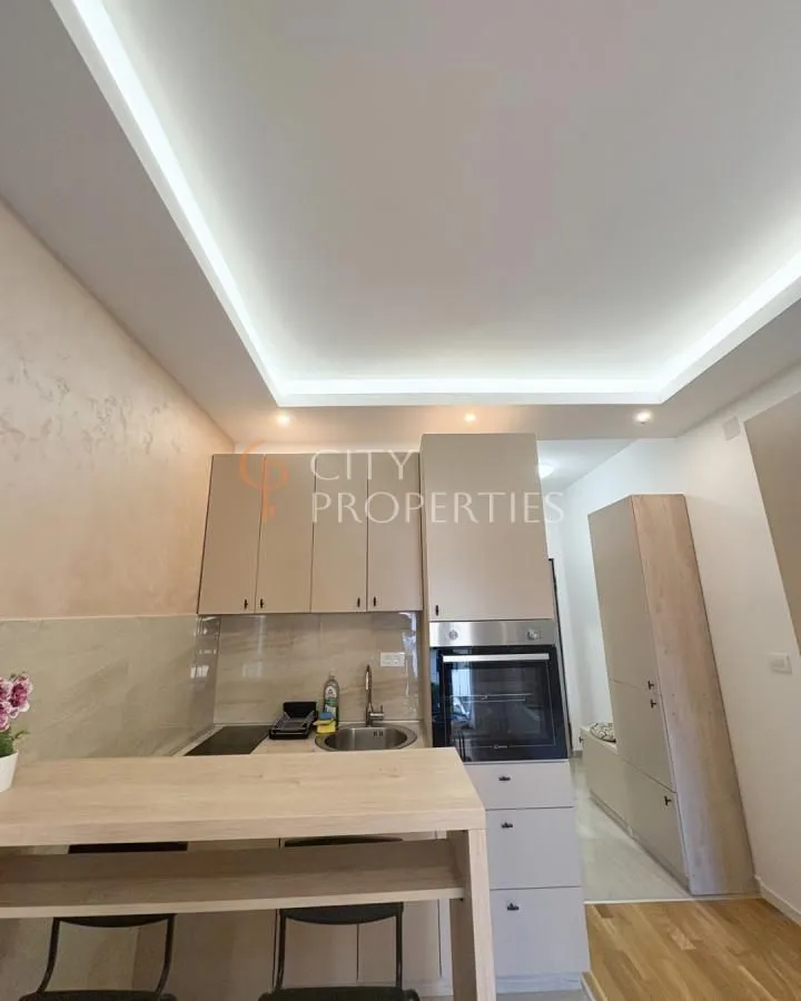 Rent, apartment, 20m², Zabjelo, Podgorica