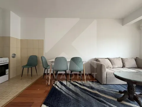 Rent, one bedroom apartment, 40m², Zabjelo, Podgorica - image 2