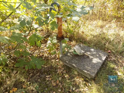 Prodaja, kuća, 32m², Paraćin, Srbija - image 5