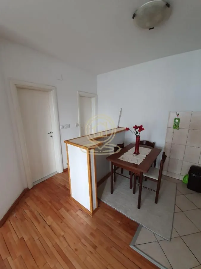 Rent, three bedroom apartment, 44m², Vračar Hram, Vračar Sve Podlokacije