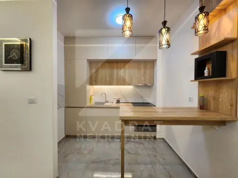 Rent, one bedroom apartment, 53m², Zagorič, Podgorica - image 5