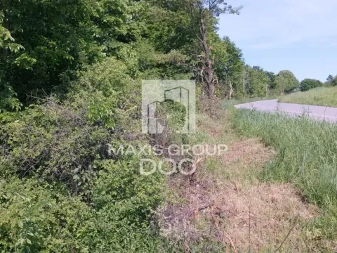 Prodaja, plac, 64800m², Kosmaj, Sopot - image 9