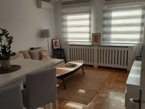 Izdavanje, jednosoban stan, 45m², Savski Venac, Beograd - image 4