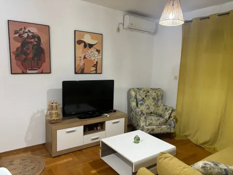 Rent, one bedroom apartment, 45m², Stari Aerodrom, Podgorica - image 1