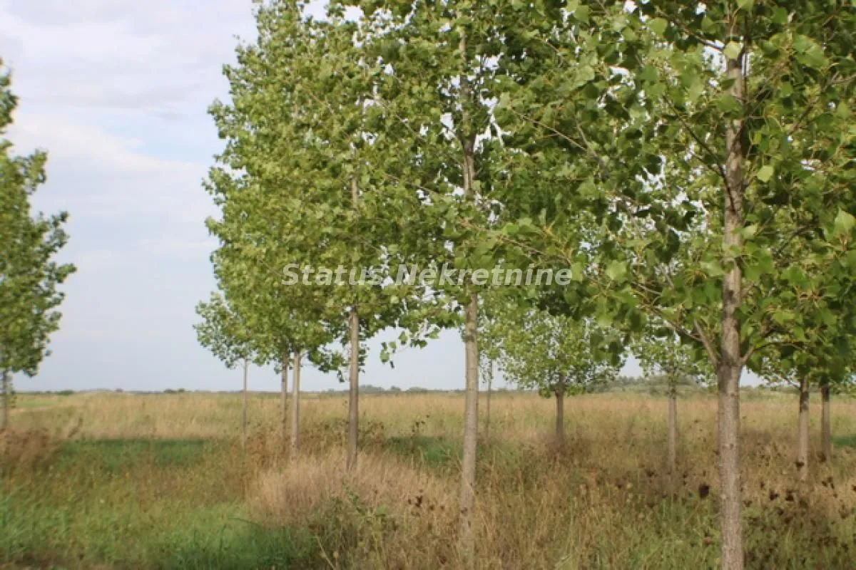 Sale, land lot, 210m², Zrenjanin, Srbija