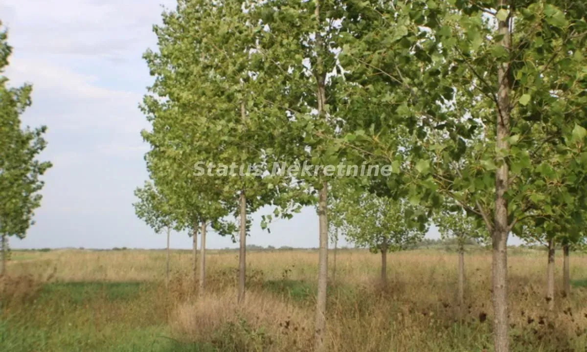 Prodaja, plac, 210m², Zrenjanin, Srbija