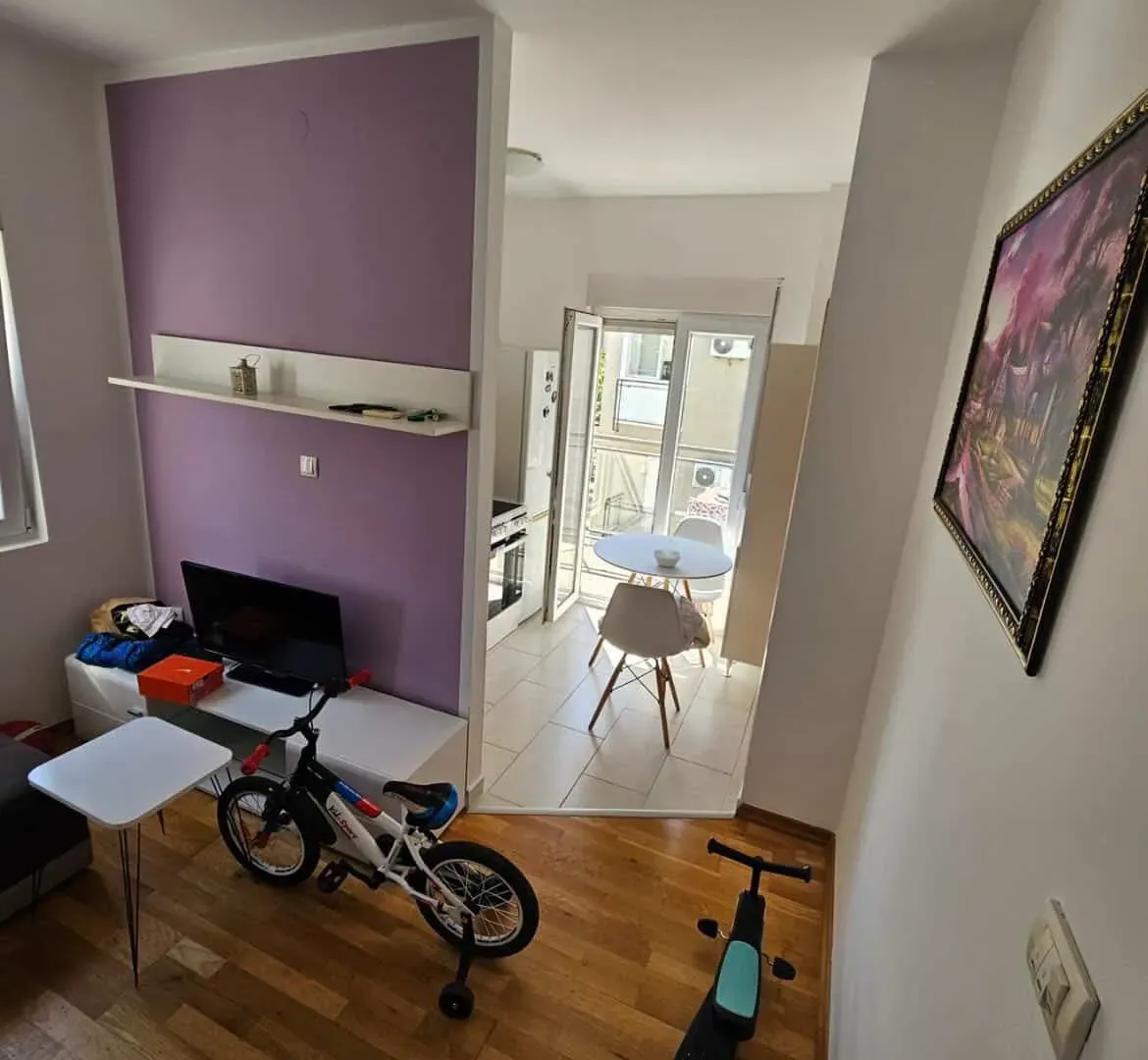 Rent, one bedroom apartment, 30m², Zabjelo, Podgorica