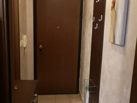 Izdavanje, garsonjera, 25m², Stari Aerodrom, Podgorica - image 7