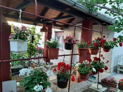 Prodaja, kuća, 210m², Sremska Kamenica, Petrovaradin - image 13