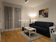 Rent, two bedroom apartment, 50m², Bulevar patrijarha Pavla, Novi Sad Sve Podlokacije
