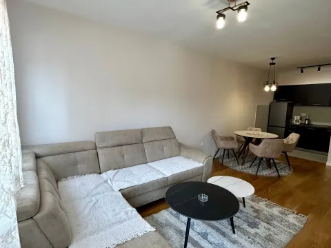 Izdavanje, jednosoban stan, 49m², Central Point, Podgorica - image 6