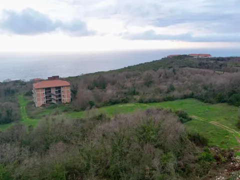 Prodaja, plac, 487m², Krimovica, Kotor - image 16