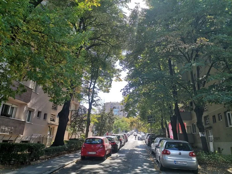 Pogled na ulicu sa drvoredom i parkiranim automobilima ispred zgrada.