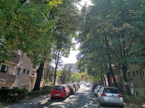 Pogled na ulicu sa drvoredom i parkiranim automobilima ispred zgrada. - image 10