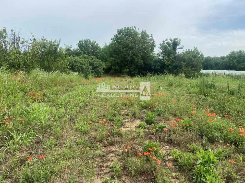 Prodaja, plac, 1039m², Palilula Sve Podlokacije, Beograd