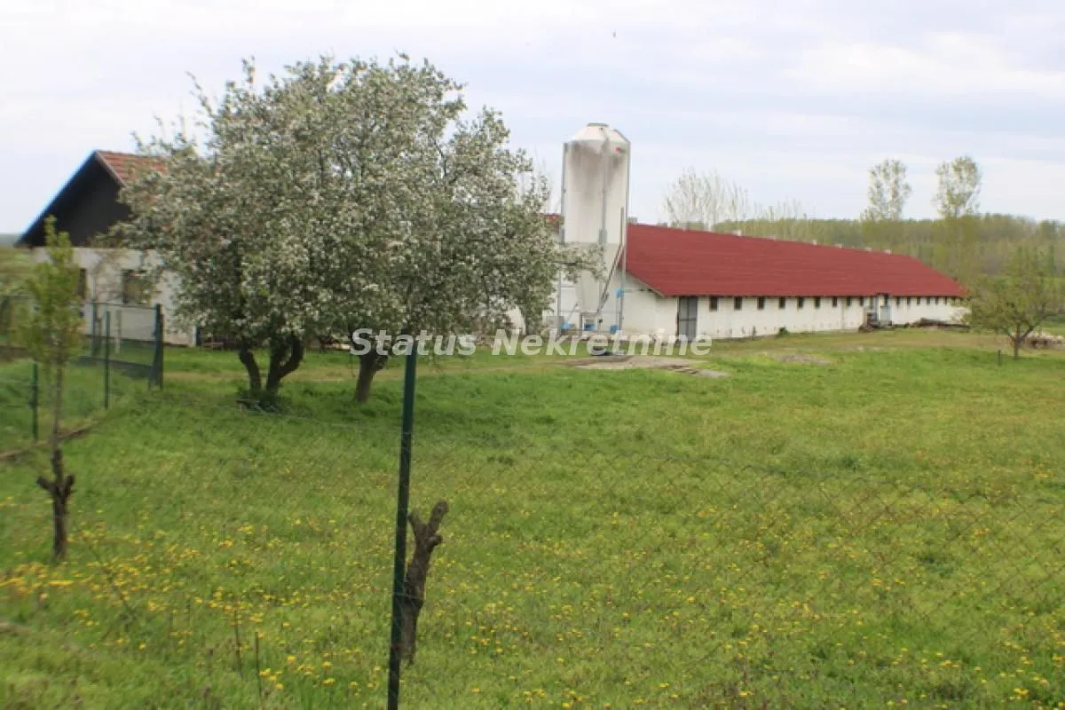 Sale, office space, 848m², Titel, Novi Sad