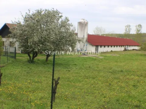 Sale, office space, 848m², Titel, Novi Sad - image 2