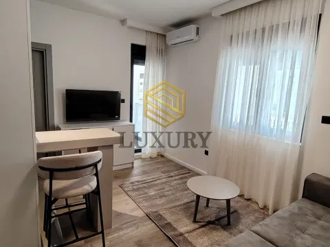 Rent, studio apartment, 21m², Zabjelo, Podgorica - image 7