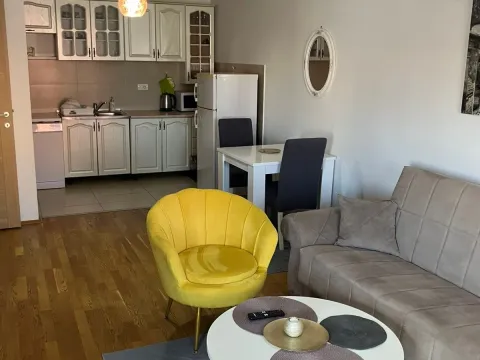 Izdavanje, jednosoban stan, 50m², Tuški Put, Podgorica - image 2