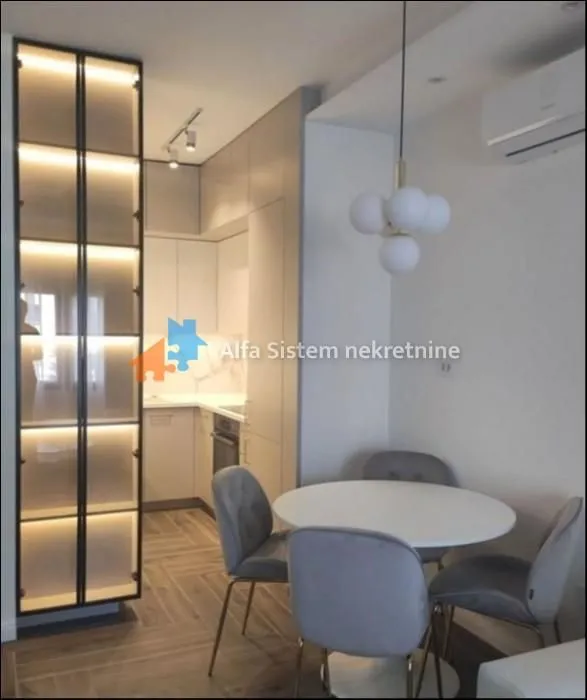 Izdavanje, stan, 40m², Južni Bulevar, Vračar Sve Podlokacije