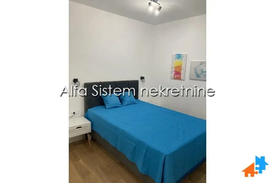 Rent, two bedroom apartment, 52m², Južni Bulevar, Vračar Sve Podlokacije