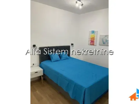 Izdavanje, dvosoban stan, 52m², Južni Bulevar, Vračar Sve Podlokacije - image 9