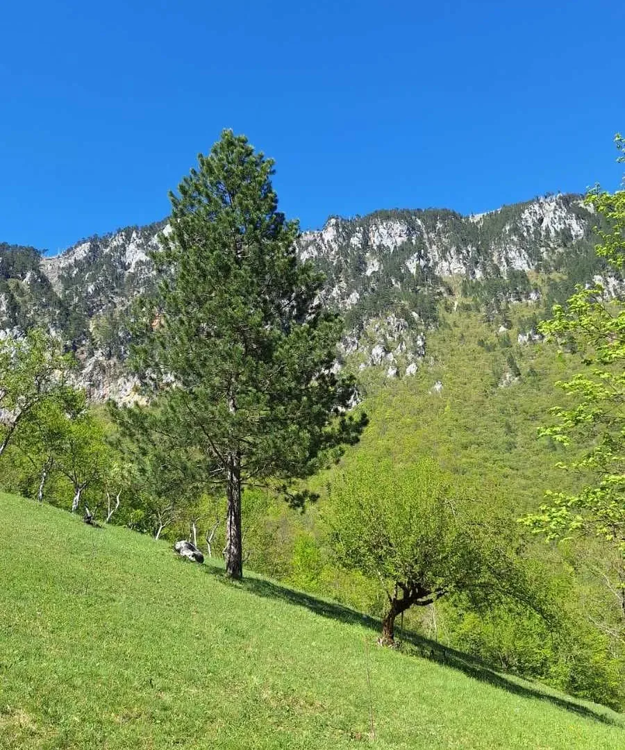 Rent, house, 100m², Dobrilovina, Mojkovac