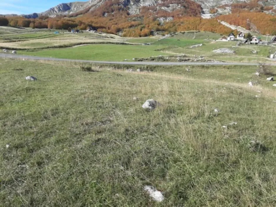 Prodaja, plac, 1077m², Žabljak, Crna Gora