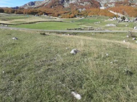 Prodaja, plac, 1077m², Žabljak, Crna Gora - image 2