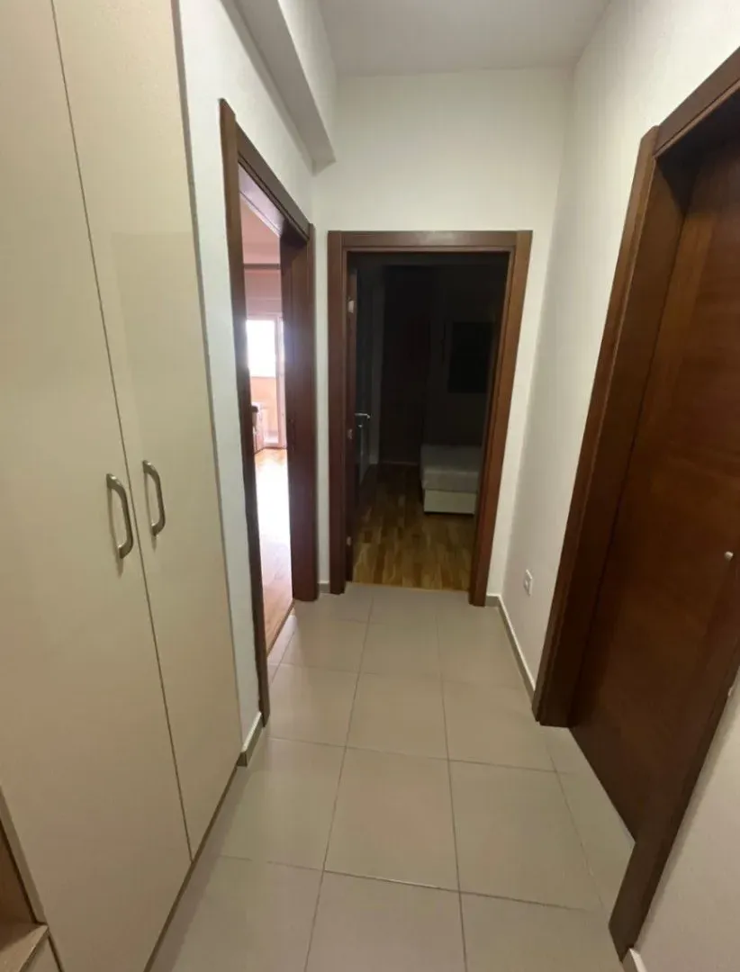 Rent, one bedroom apartment, 48m², Tuški Put, Podgorica